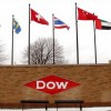 A Dow AgroSciences é subsidiária em caráter integral da The Dow Chemical Company e tem volume de vendas de US$ 4,9 bilhões por ano.