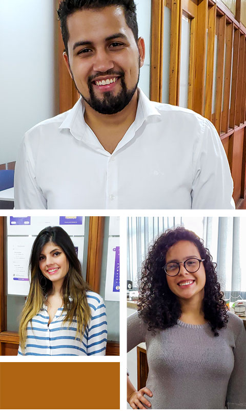Mosaico com fotos de estagiários na empresa