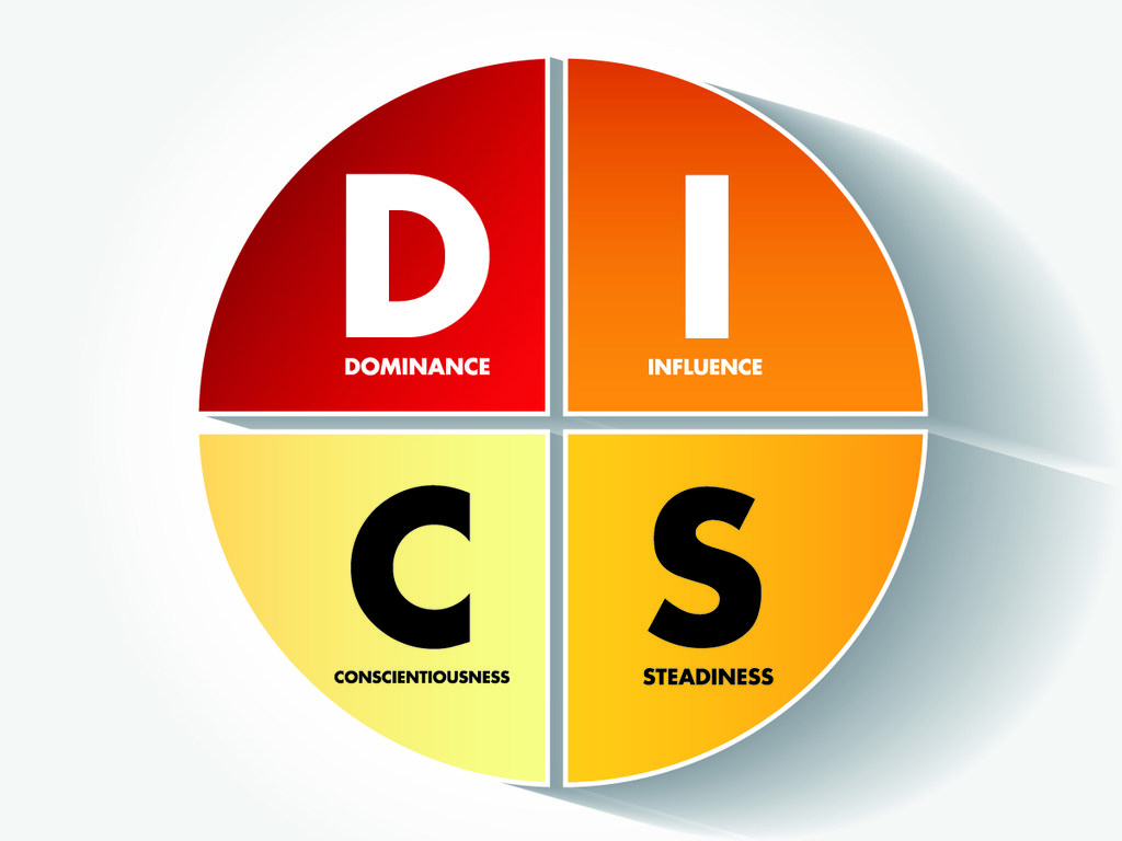 perfil disc base